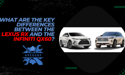 What are the key differences between the Lexus RX and the Infiniti QX60