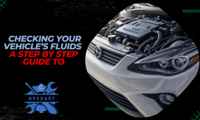 A Step by Step Guide to Checking Your Vehicle’s Fluids