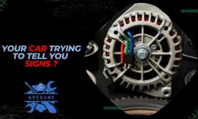 Your Car Trying to Tell you Signs